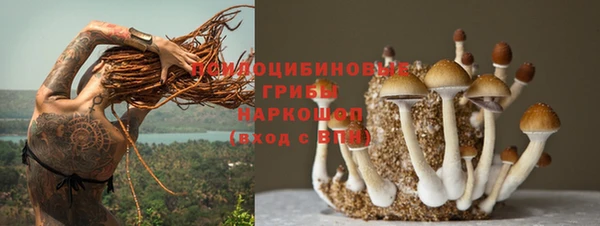 молекула духа Алексин
