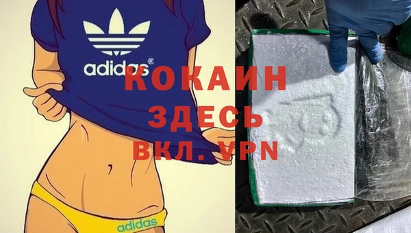 молекула духа Алексин