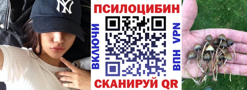 Псилоцибиновые грибы Psilocybe Шатура