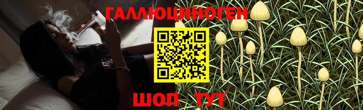 Галлюциногенные грибы MAGIC MUSHROOMS Шатура