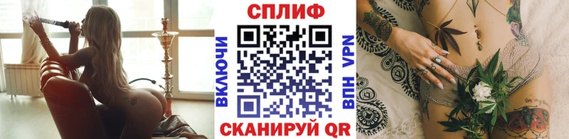 магазин продажи наркотиков  Шатура  Конопля Bruce Banner 